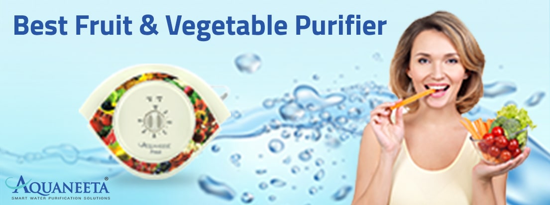 vegetable purifier