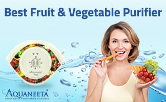 vegetable purifier